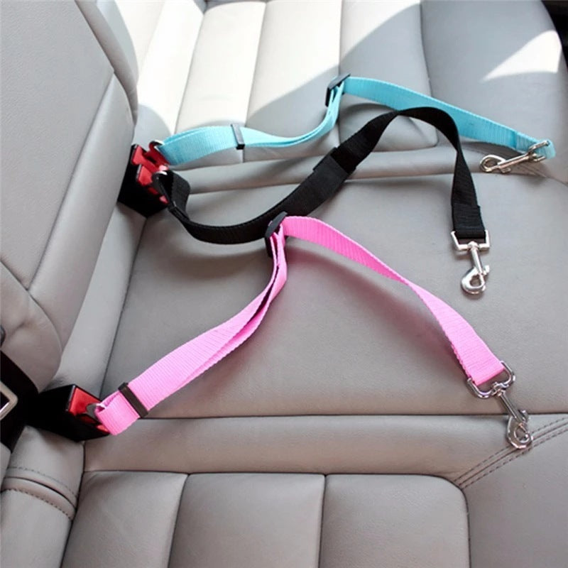 Pet seat belts