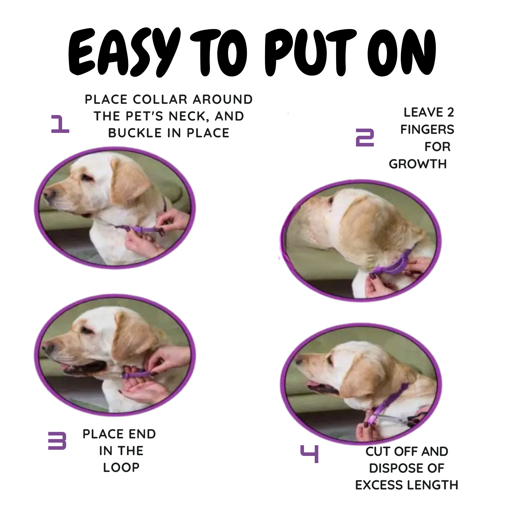 photos showing how easy it is to put on the calming collar