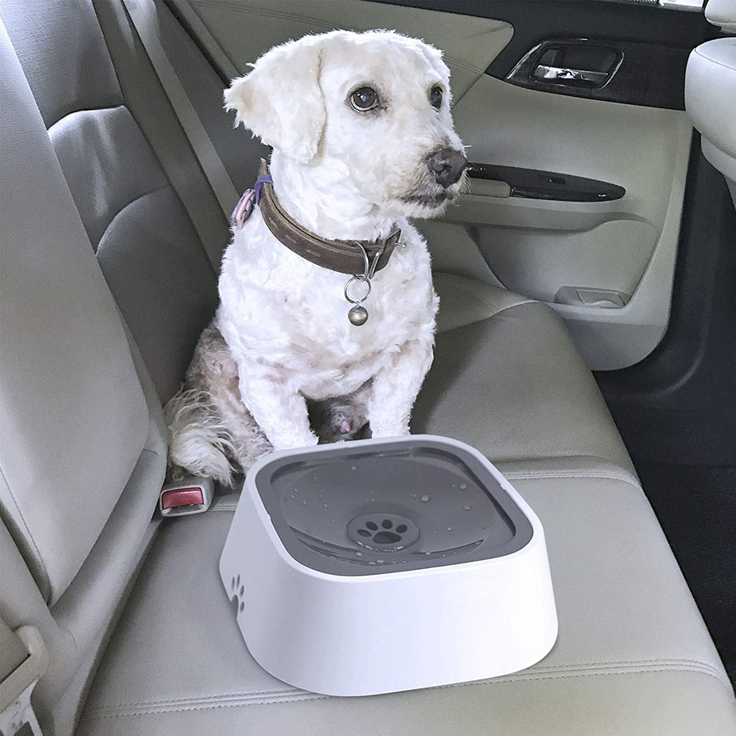 No-spill pet water bowl