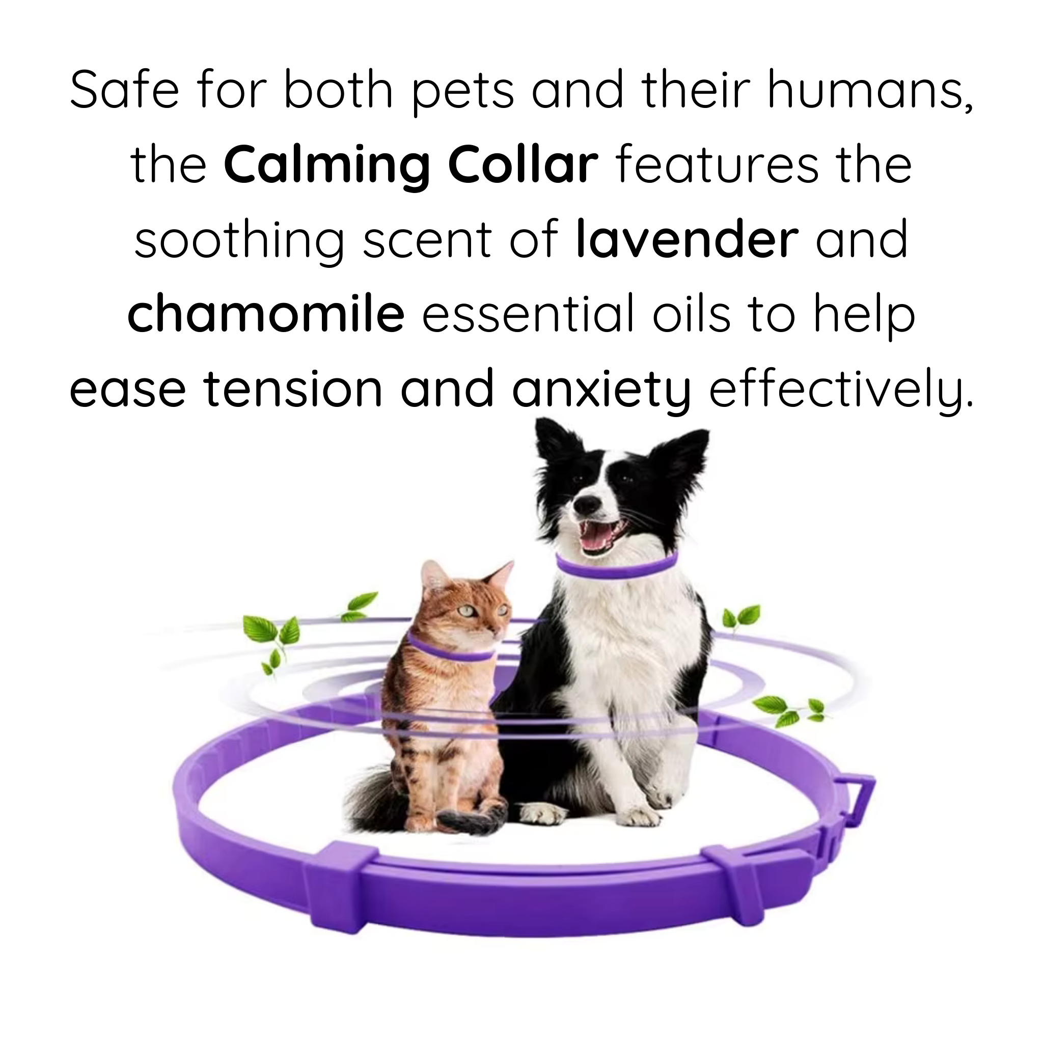 Calming collar uses lavender and chamomile essential oils