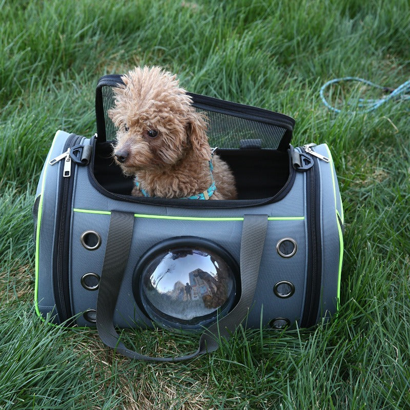 photo of a dog in the breathable pet carrier