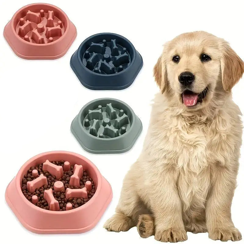 slow feeder dog bowl