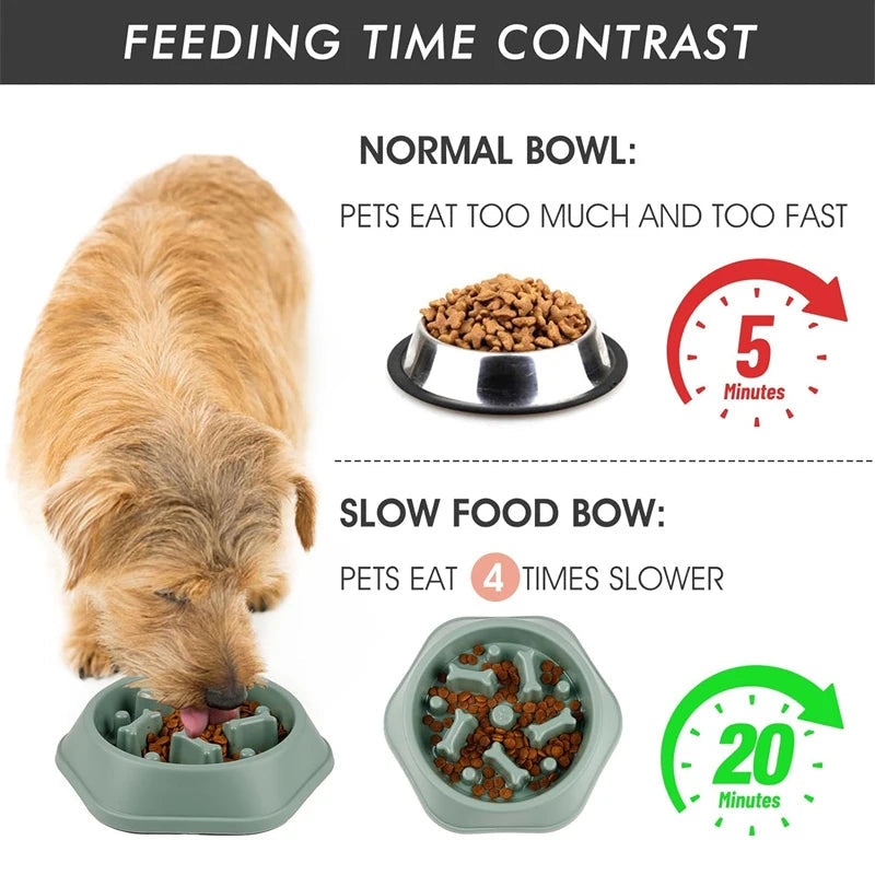 slow feeder dog bowl