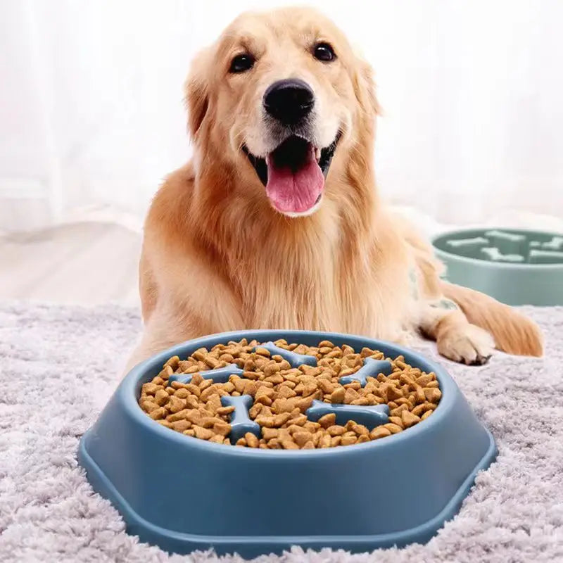 slow feeder dog bowl