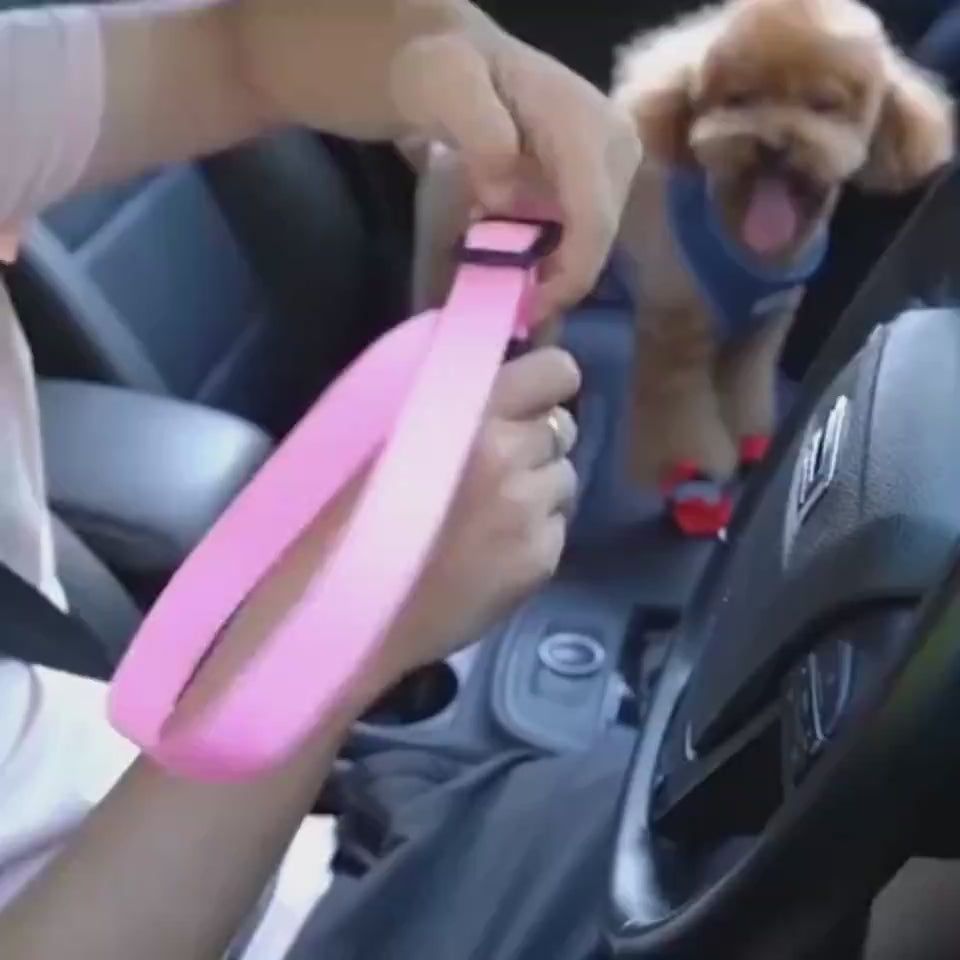 Video promoting the pet seat belt